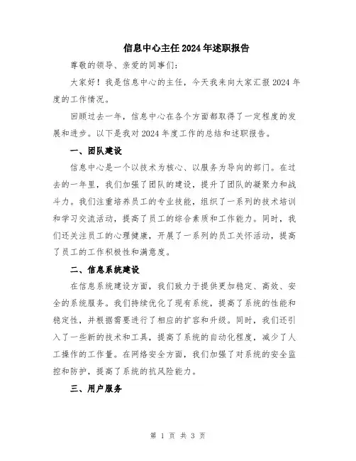 信息中心主任2024年述职报告