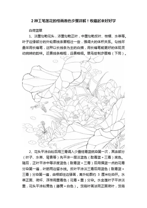 2种工笔莲花的绘画着色步骤详解！收藏起来好好学