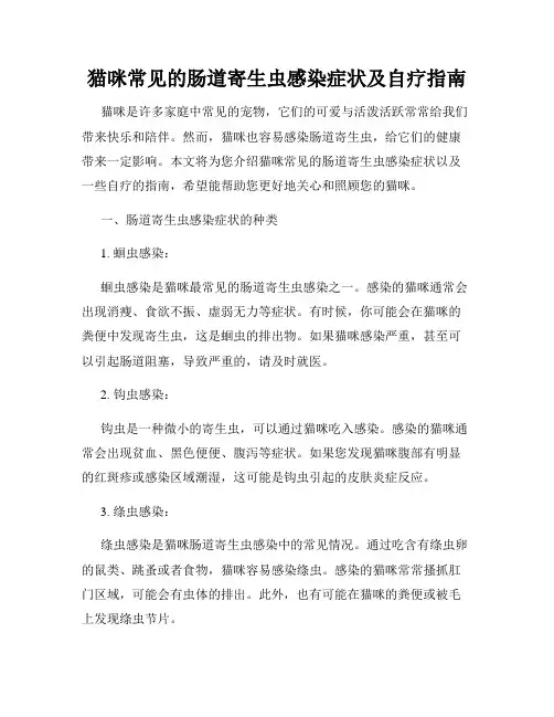 猫咪常见的肠道寄生虫感染症状及自疗指南