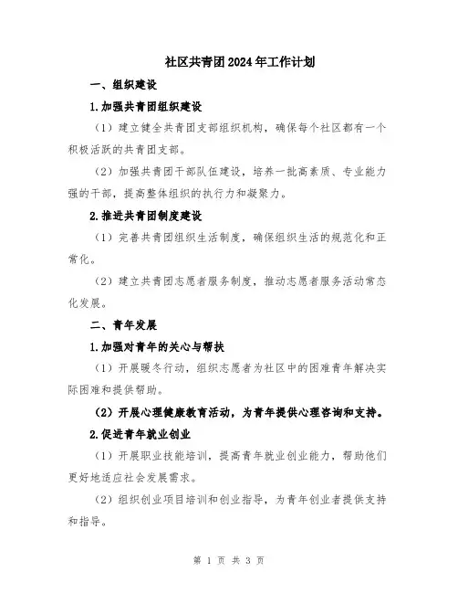 社区共青团2024年工作计划