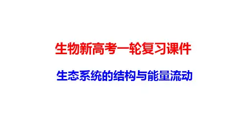 生物新高考一轮复习课件：11-1 生态系统的结构与能量流动