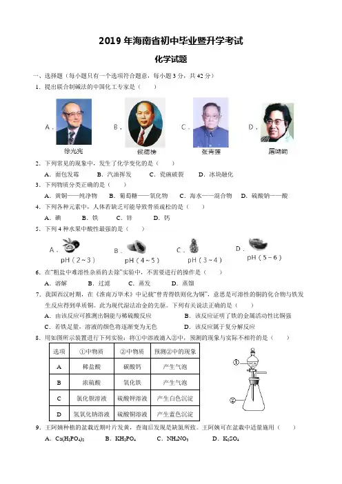 2019年海南省中考化学试题(附答案和解析)