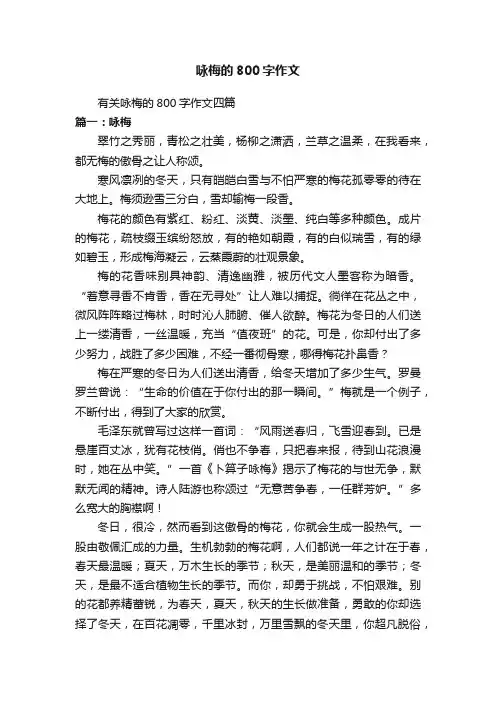 有关咏梅的800字作文四篇