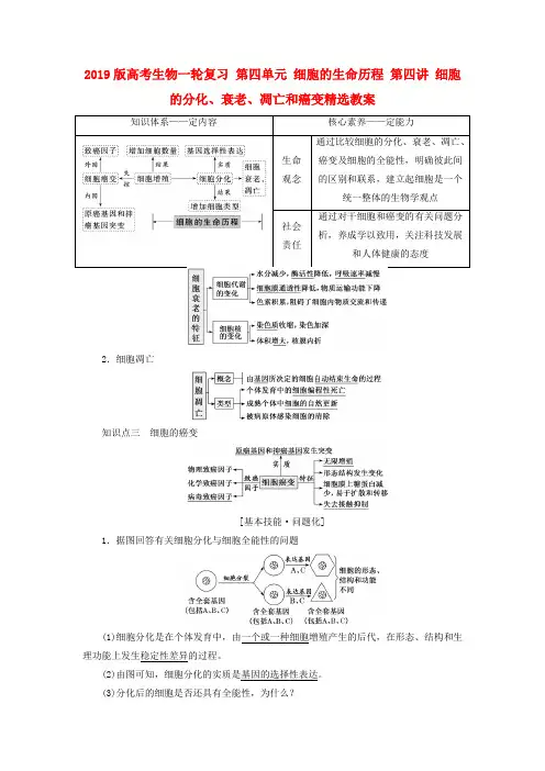 2019版高考生物一轮复习 第四单元 细胞的生命历程 第四讲 细胞的分化、衰老、凋亡和癌变精选教案.doc