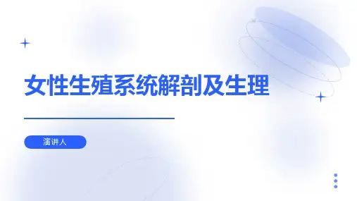 女性生殖系统解剖及生理(1)
