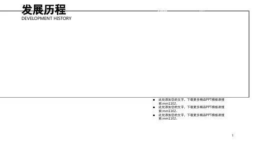 精选时间轴和发展历程模板文档资料