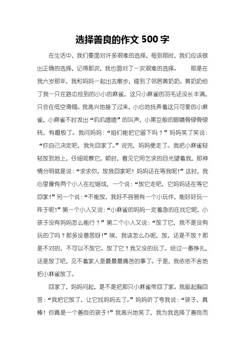 选择善良的作文500字
