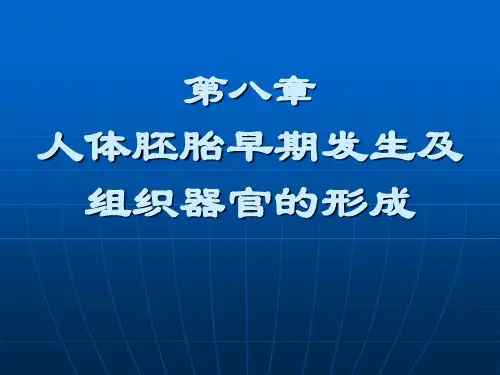 浙师大《发育学》课件 第八章胚胎发育与组织器官形成