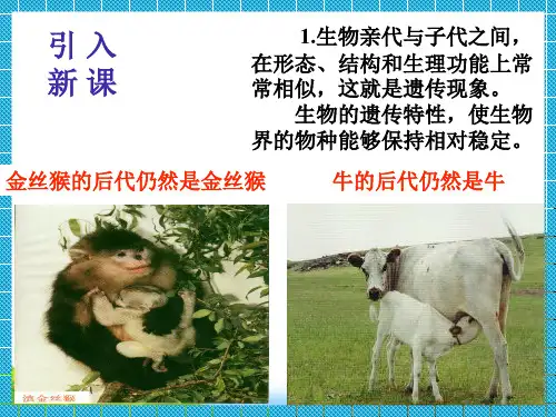 高中生物必修二教学课件：3.1DNA是主要的遗传物质 (共43张PPT)
