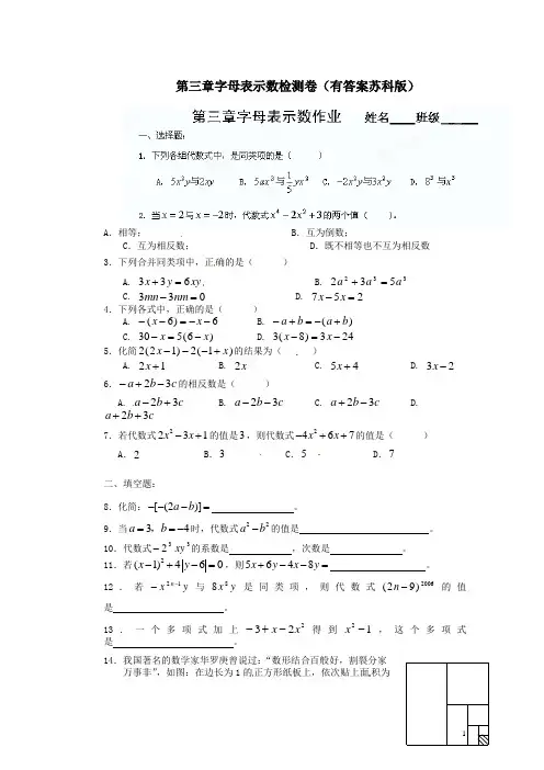 第三章字母表示数检测卷(有答案苏科版)