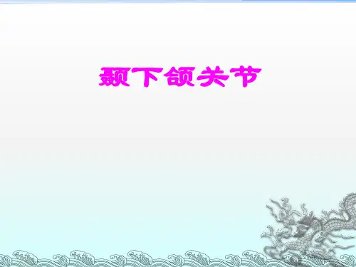 颞下颌关节 肌