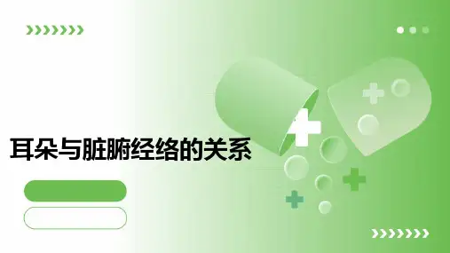 耳朵与脏腑经络的关系课件