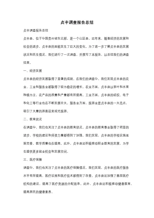 贞丰调查报告总结
