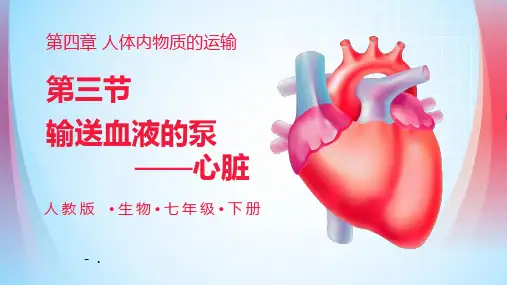 《输送血液的泵——心脏》PPT优秀课件
