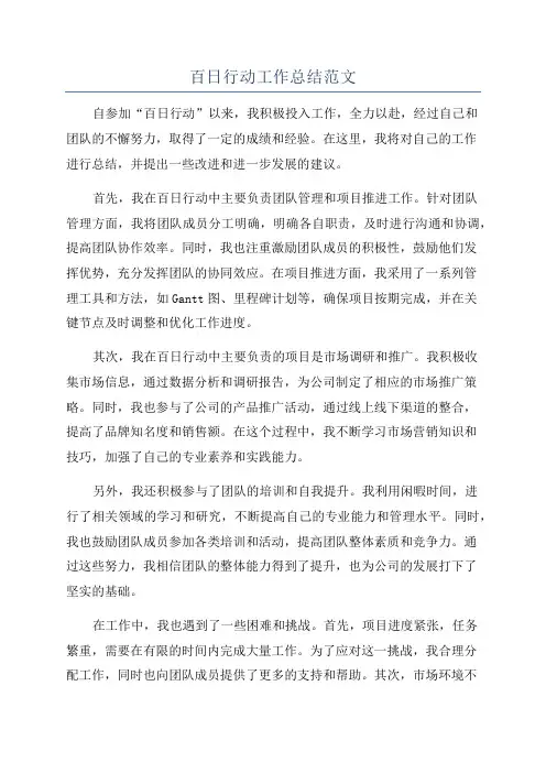 百日行动工作总结范文