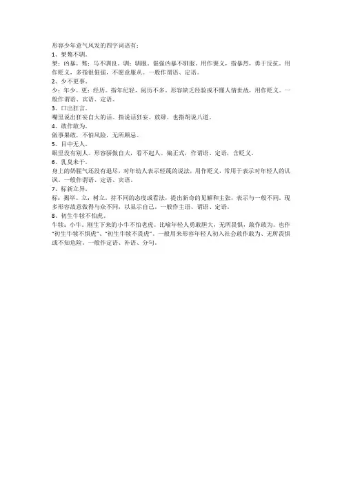 形容少年意气风发的四字词语
