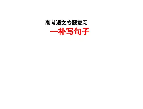 高考语文专题复习补写句子(修稿)