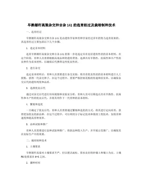 早熟矮秆高粱杂交种吉杂141的选育经过及栽培制种技术