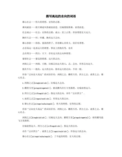 描写高远的志向的词语