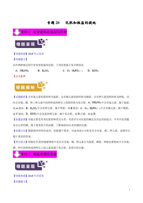 专题20  化肥和粗盐的提纯 -2019年中考化学母题题源系列(解析版)