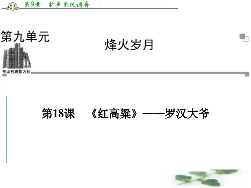 人教语文选修课件(中国小说欣赏)：第9单元 第18课《红高粱》——罗汉大爷