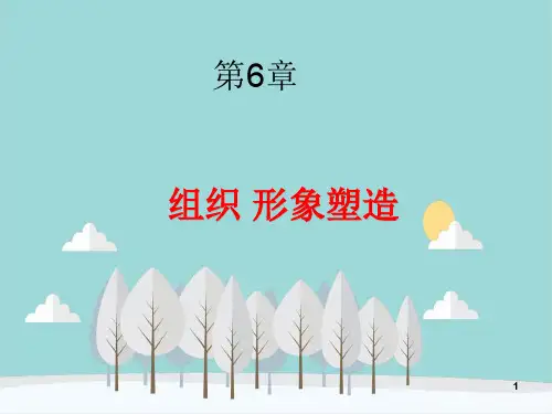 公共关系第6章组织形象塑造素ppt课件