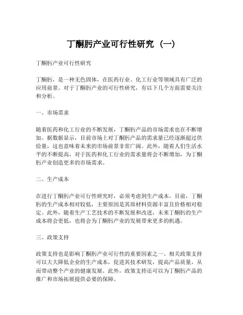 丁酮肟产业可行性研究 (一)