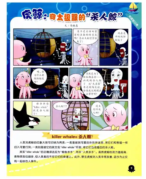 虎鲸：穿太极服的“杀人鲸”
