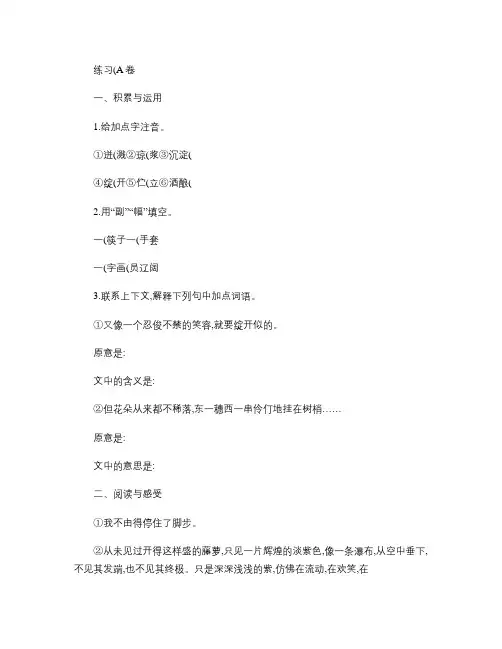 初一语文上册第四课练习题解析