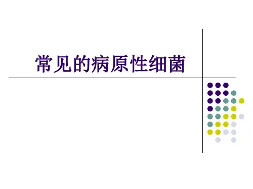 常见病原性细菌