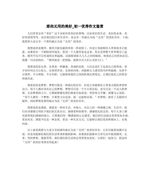 那些无用的美好_初一优秀作文鉴赏