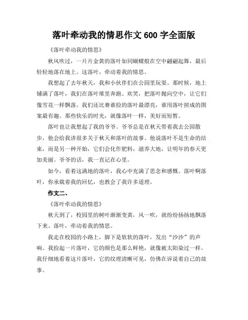 落叶牵动我的情思作文600字全面版
