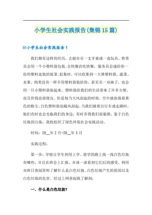小学生社会实践报告(集锦15篇)