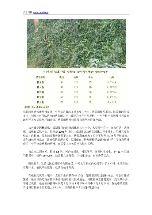 小叶扶芳藤