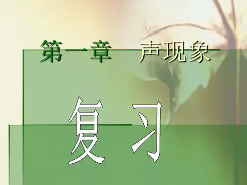 复习——声现象.ppt