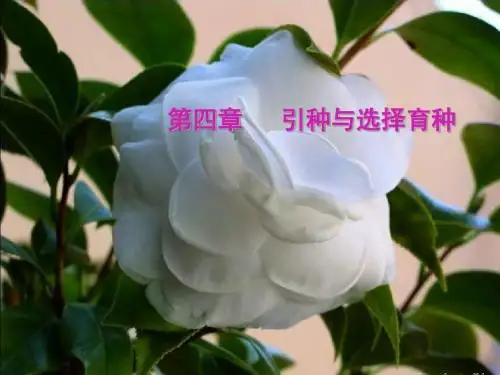 第四章引种与系统育种