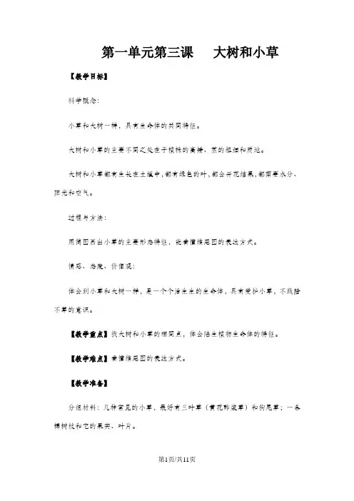 三年级上册科学教案1.3 大树和小草教科版