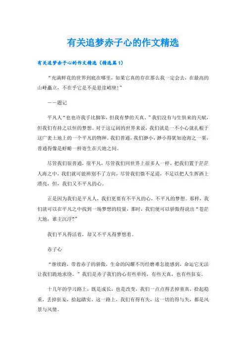 有关追梦赤子心的作文精选