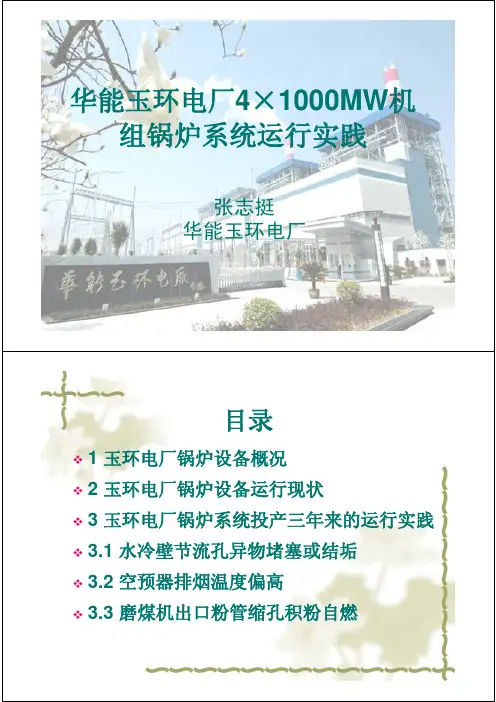 玉环电厂4×1000MW机组锅炉系统三年运行实践