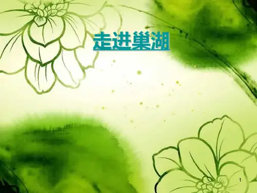 我美丽的家乡——巢湖PPT课件
