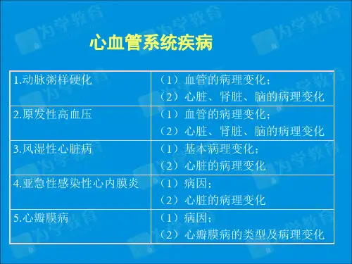 病理学-心血管系统疾病PPT课件