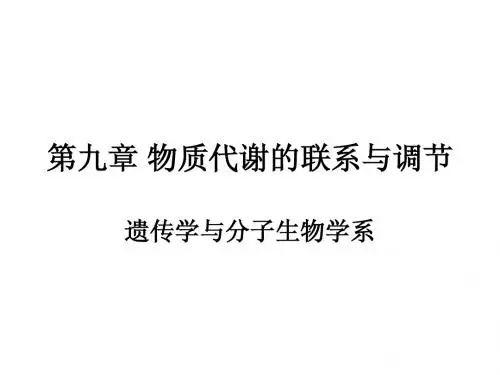 物质代谢的联系与调节