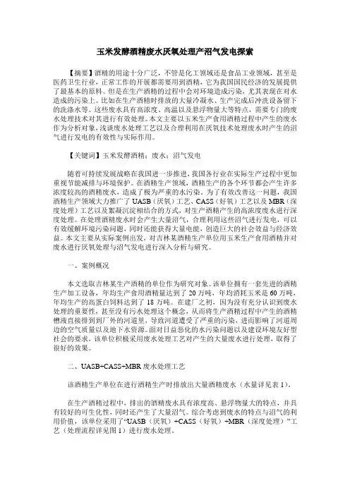 玉米发酵酒精废水厌氧处理产沼气发电探索