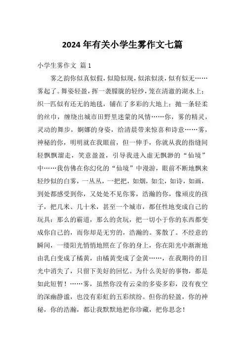 2024年有关小学生雾作文七篇