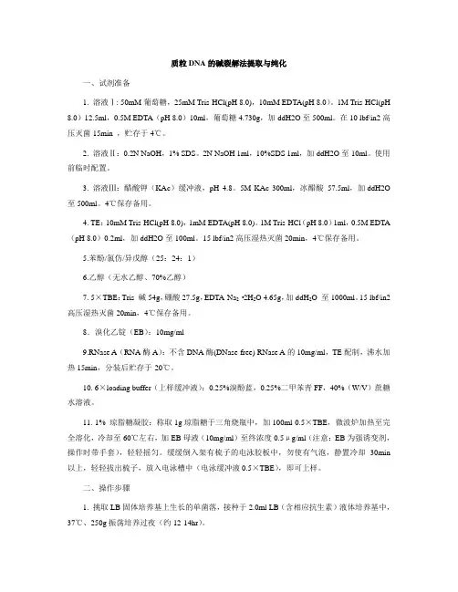 质粒DNA的碱裂解法提取与纯化