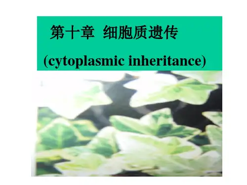 细胞质遗传4课时ppt课件