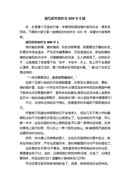 描写初冬的作文600字5篇
