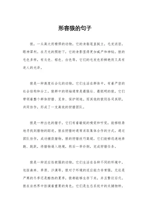 形容狼的句子