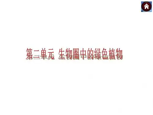 中考生物复习方案 生物圈中有哪些绿色植物(考点聚焦+专项突破,含试题)课件 新人教版