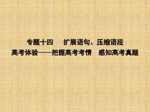 2018届高考语文扩展语句、压缩语段专题复习(通用版)优秀PPT课件